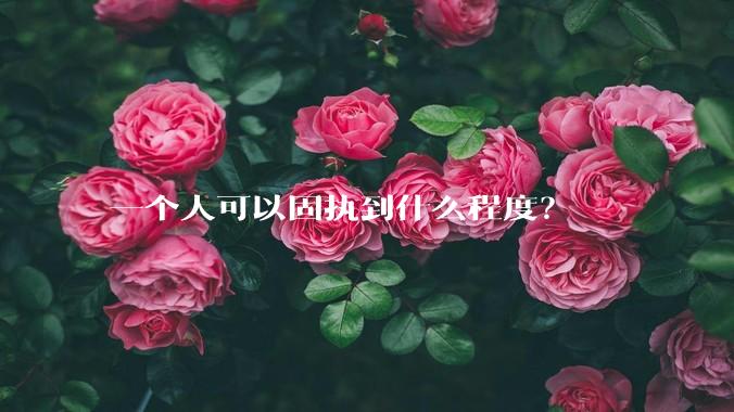 一个人可以固执到什么程度？